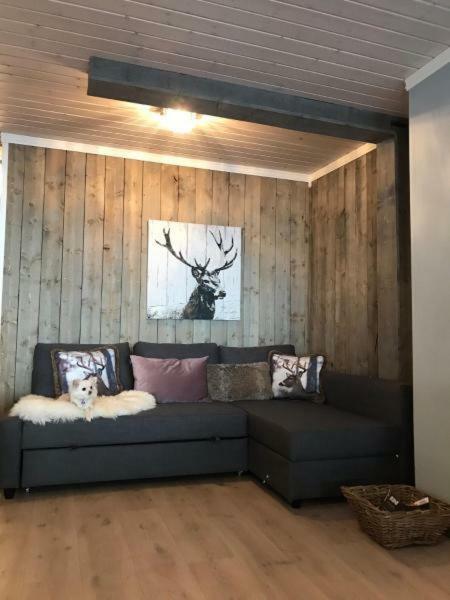 Kvamseter Lodge - Mountain Apartments نورهايمسوند المظهر الخارجي الصورة